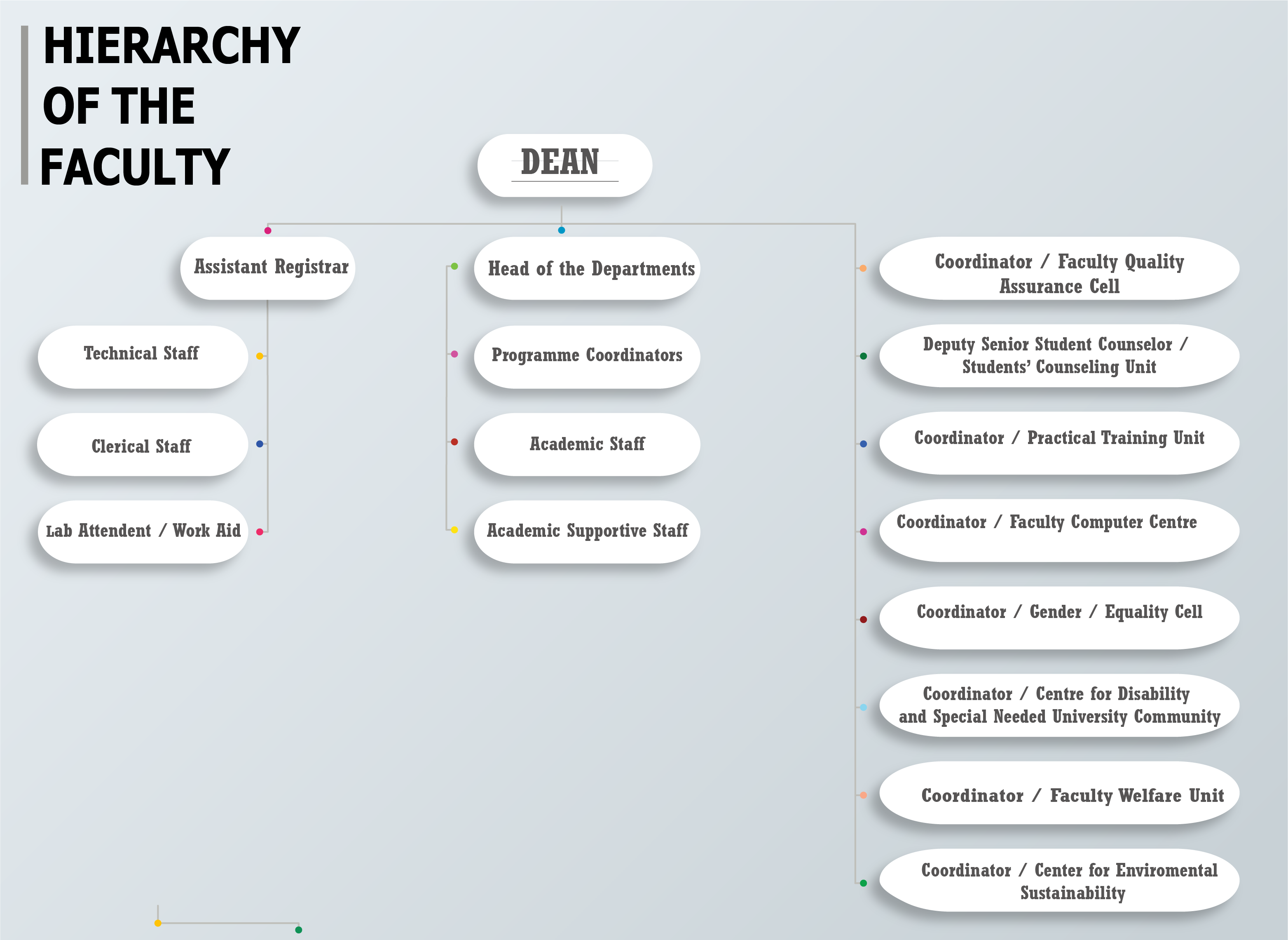 Hierarchy Of The Faculty Faculty Of Applied Sciences hierarchy-of-the-faculty-faculty-of-applied-sciences